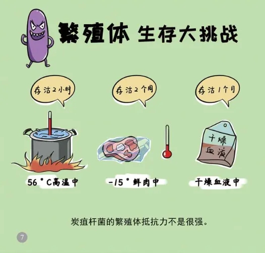 ag娱乐官网