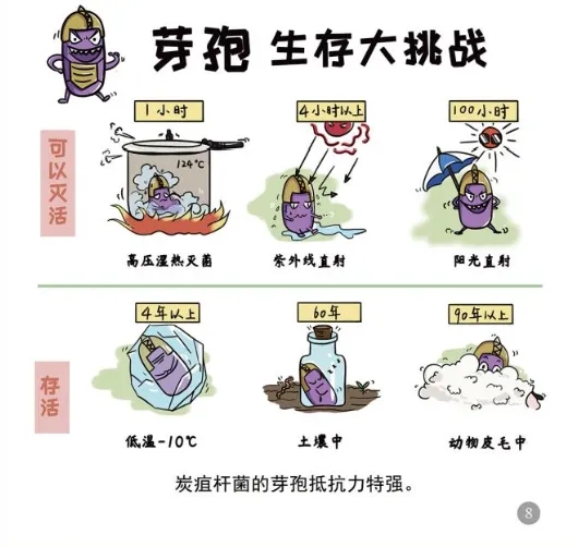 ag娱乐官网
