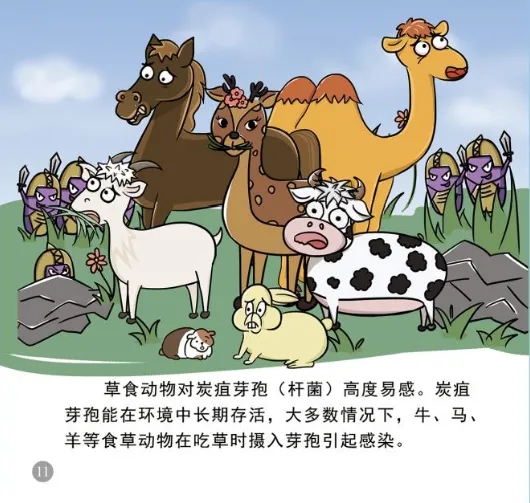 ag娱乐官网