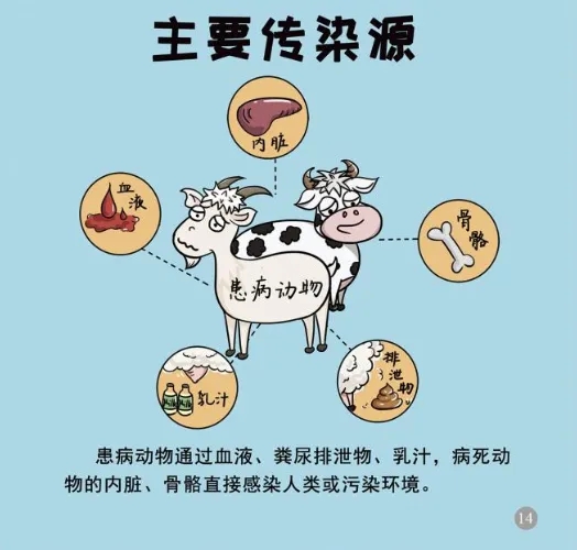 ag娱乐官网