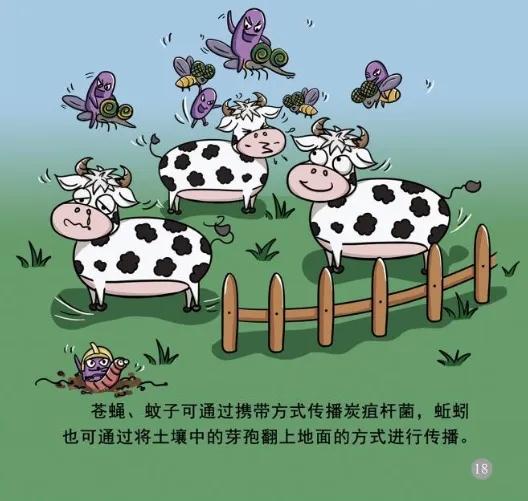 ag娱乐官网