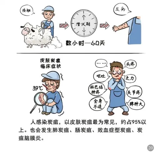 ag娱乐官网