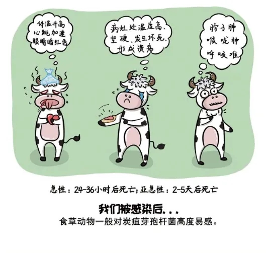 ag娱乐官网