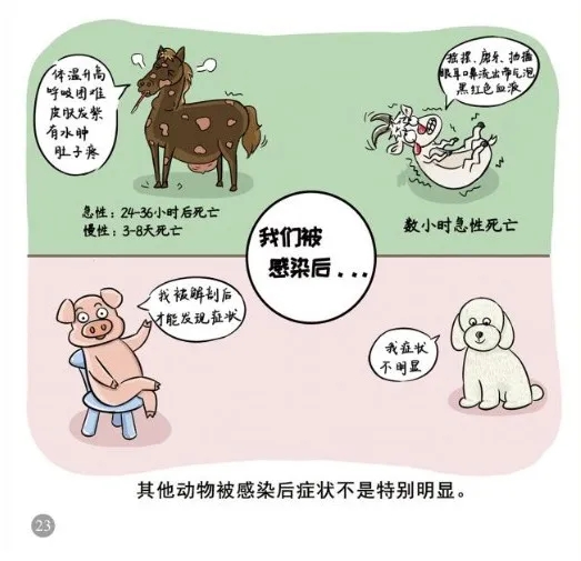 ag娱乐官网