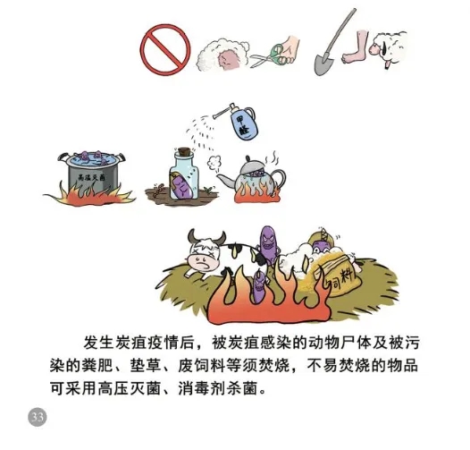 ag娱乐官网